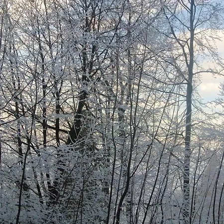 A Vue Montagne 27 M² Casier A Skis *