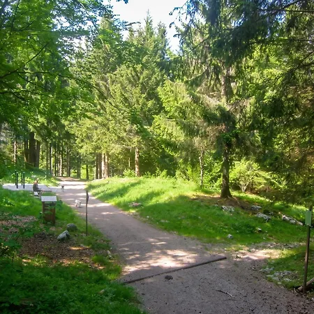 Accueillant A Les Carroz, 27 M², Vue Montagne Apartment *