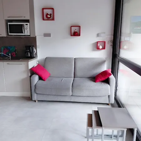 Accueillant A Les Carroz, 27 M², Vue Montagne *