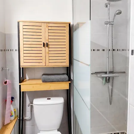 Appartement Accueillant A Les Carroz, 27 M², Vue Montagne